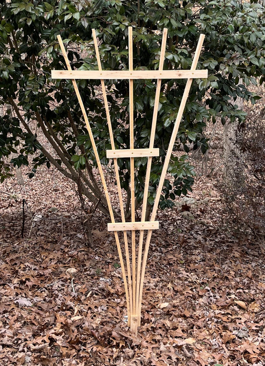 Fan Trellis - Cedar